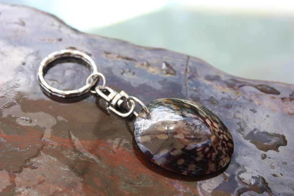 Keychain Seashell w/ Inlay Sea Life #2 - Aloha Keychain Keychain Seashell w/ Inlay Sea Life #2 - Aloha Keychain